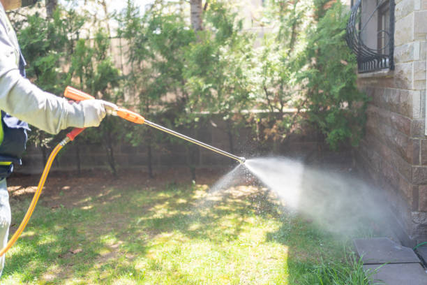 Best Spider Control Near Me  in Harvard, IL